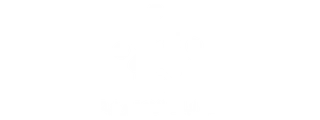 البوابات الالكترونية